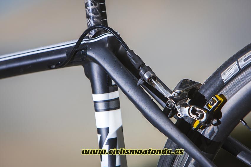 Cannondale Synapse