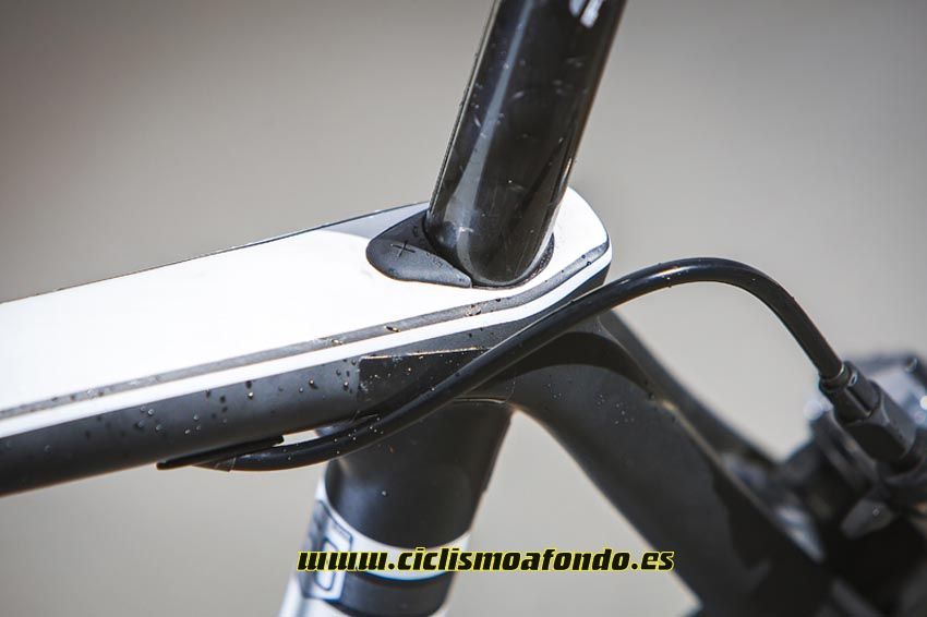 Cannondale Synapse