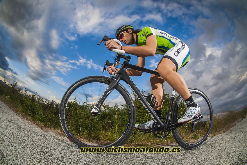 Cannondale Synapse