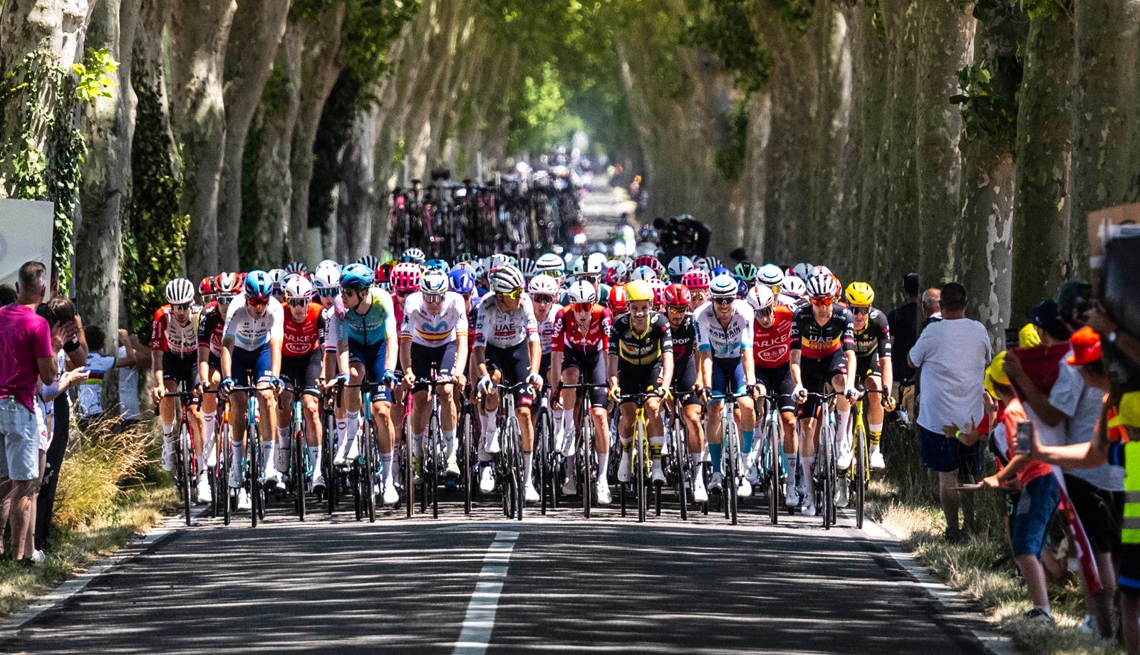Una imagen del pelotón del Tour de Francia 2025