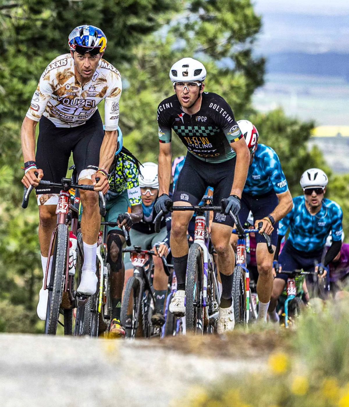 Ibereolica tiera de ca,pos