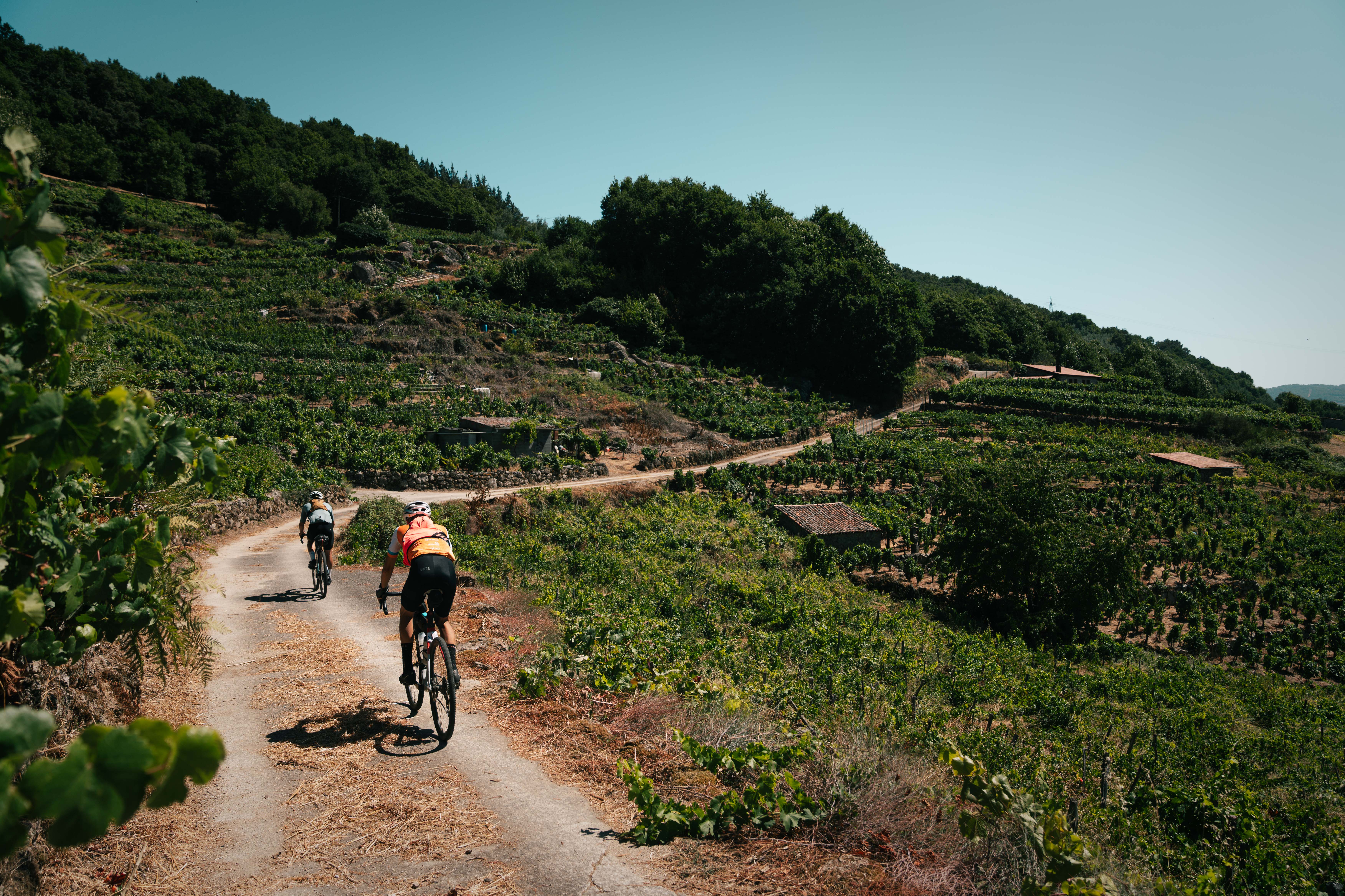 Tirreno Apóstol 2026 abre inscripciones