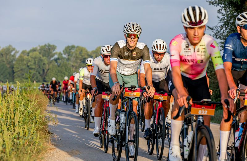 Sea Otter Ciclobrava