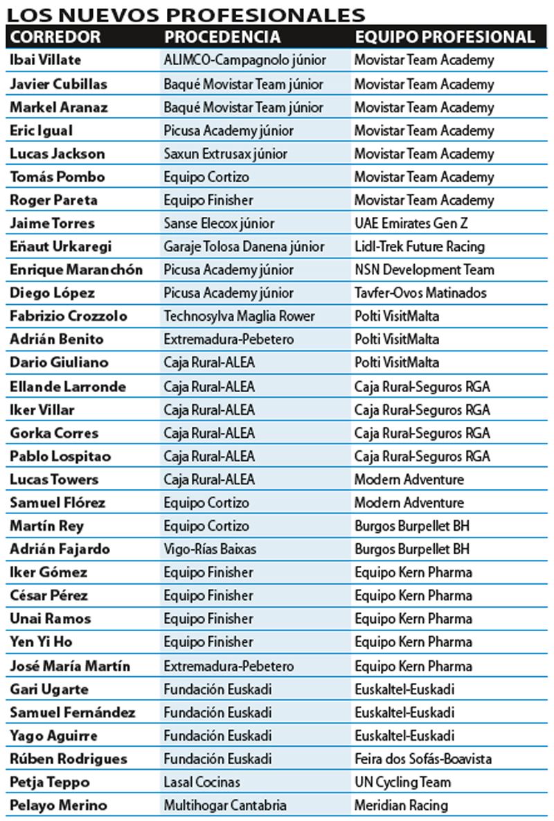 Cuadro Los nuevos profesionales