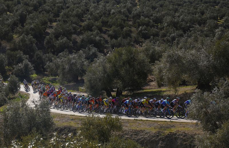 Clasica Jaen Paraiso Interior foto 1
