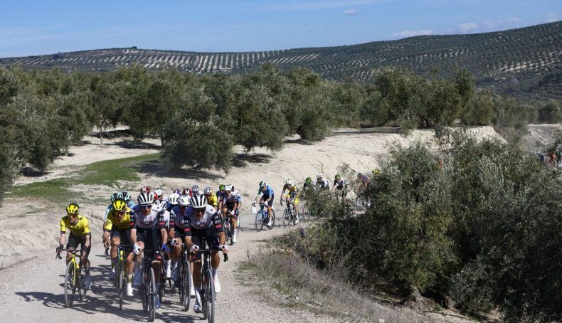 sprintcyclingagency 0887804 1 2000px 1280x853 2 790x454