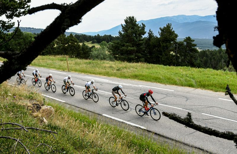 Alpinum TotalEnergies foto 3 Alpinum TotalEnergies foto 3