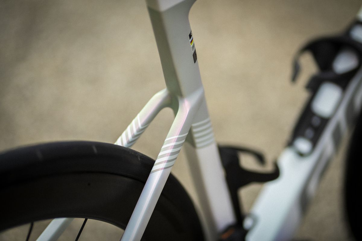 La mitad trasera se ha reducido para aportar más absorción 