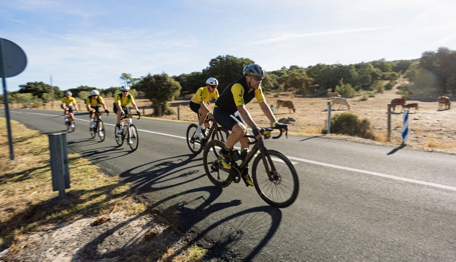 Nace la Mussara Comunidad de Madrid