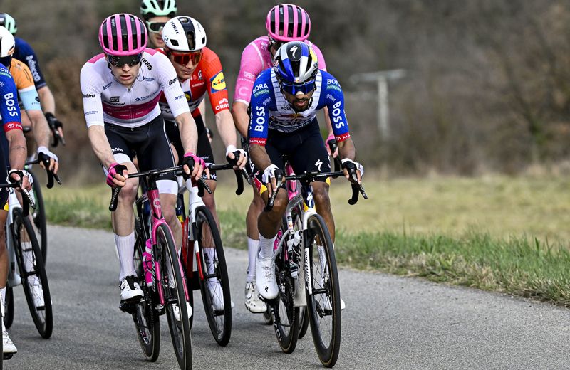 Dani Martinez y Steinhausser