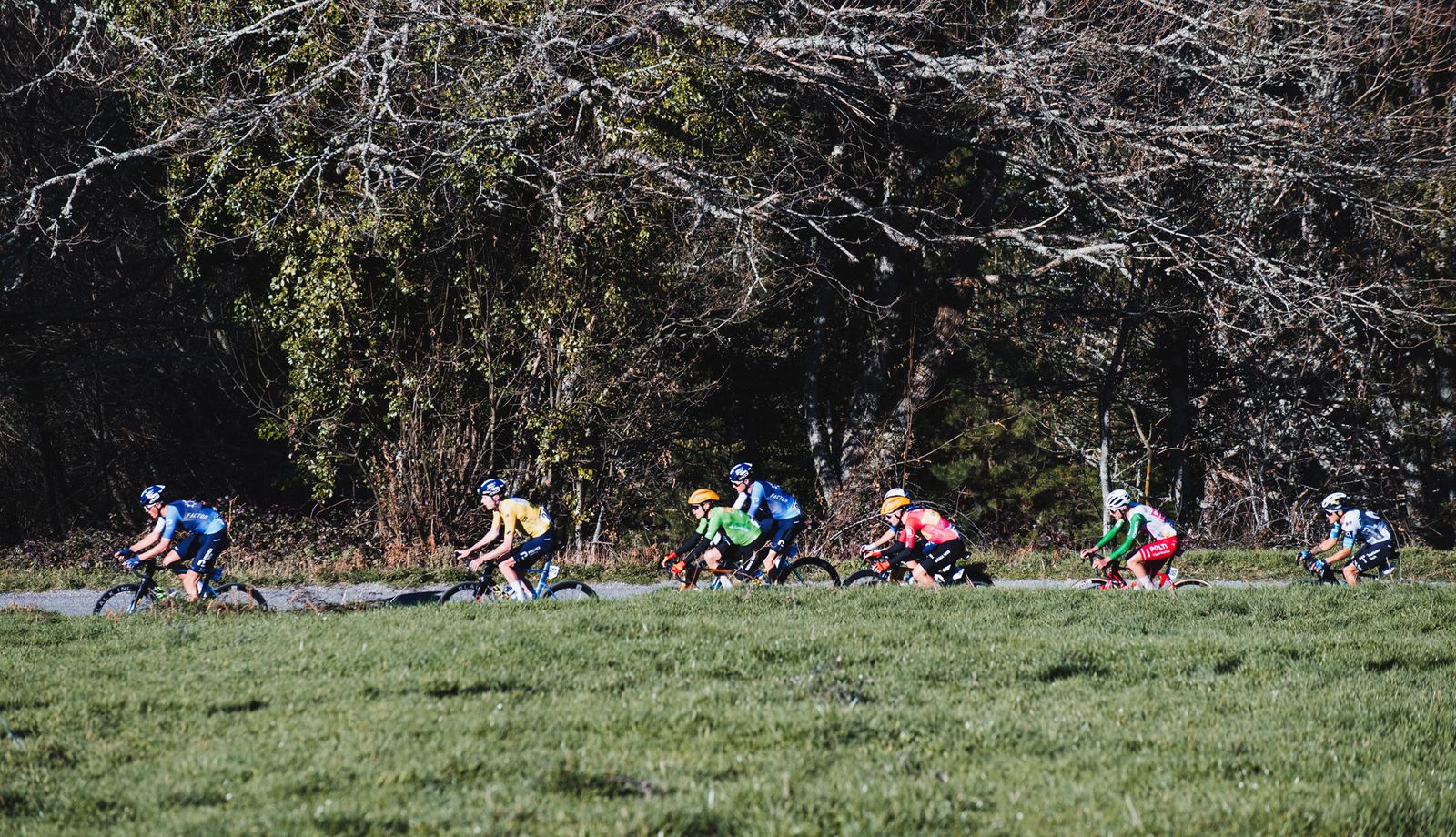 Una imagen de O Gran Camiño 2025.