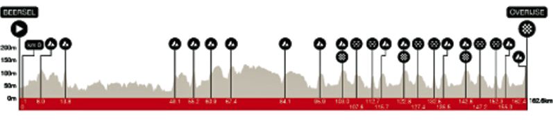Perfil Flecha Brabanzona