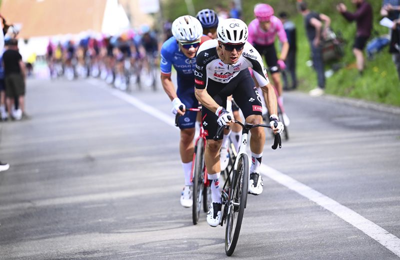 Flecha Brabanzona foto 2