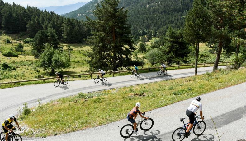 alpinum totalenergies 2 790x454