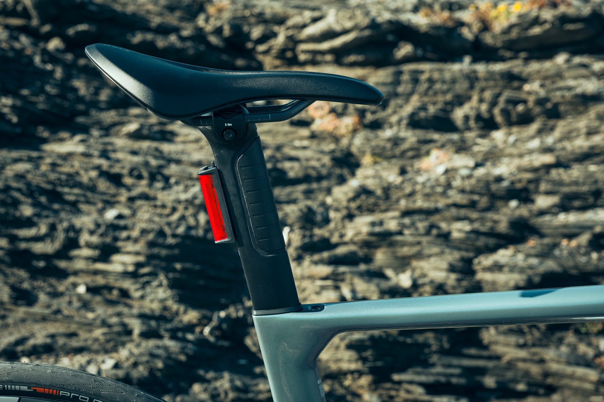 Endurace CF SLX.
