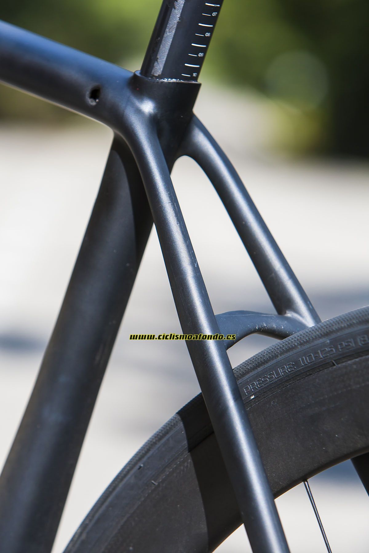 Novedades 2015: Specialized y Trek
