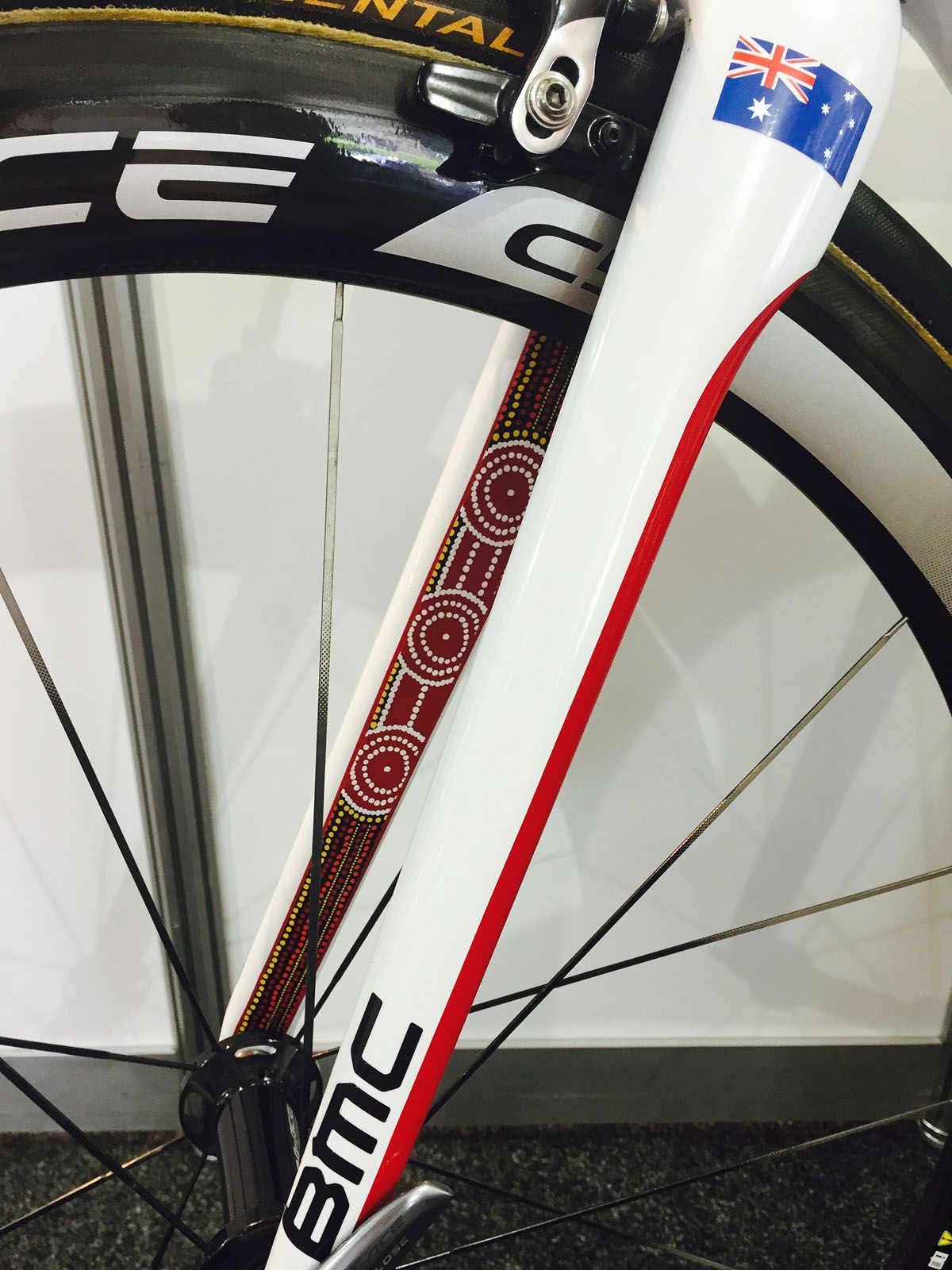 BMC teammachine SLR01 - Edición especial Cadel Evans