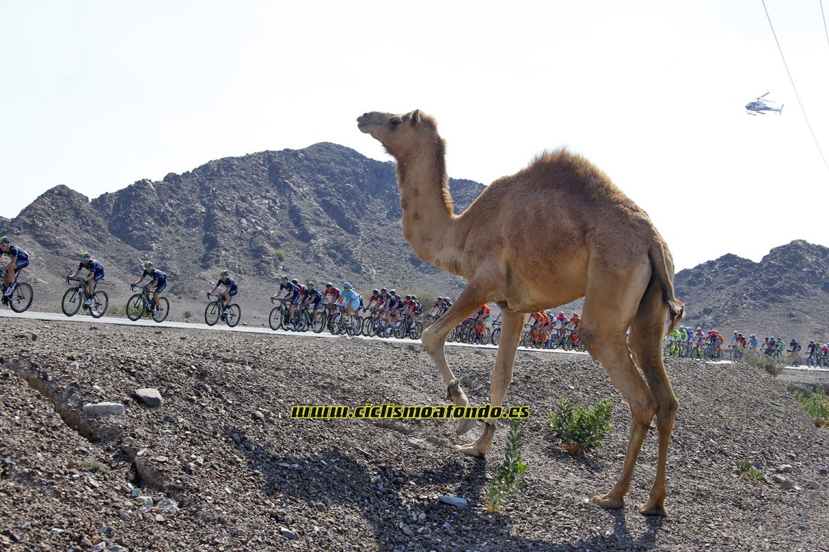 Dubai Tour