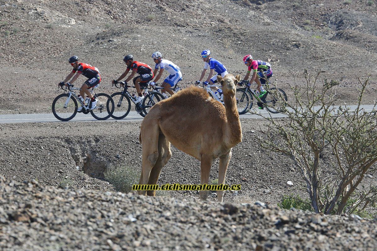 Dubai Tour