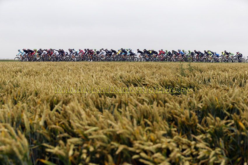 Tour de Francia 2014 - Etapa 6