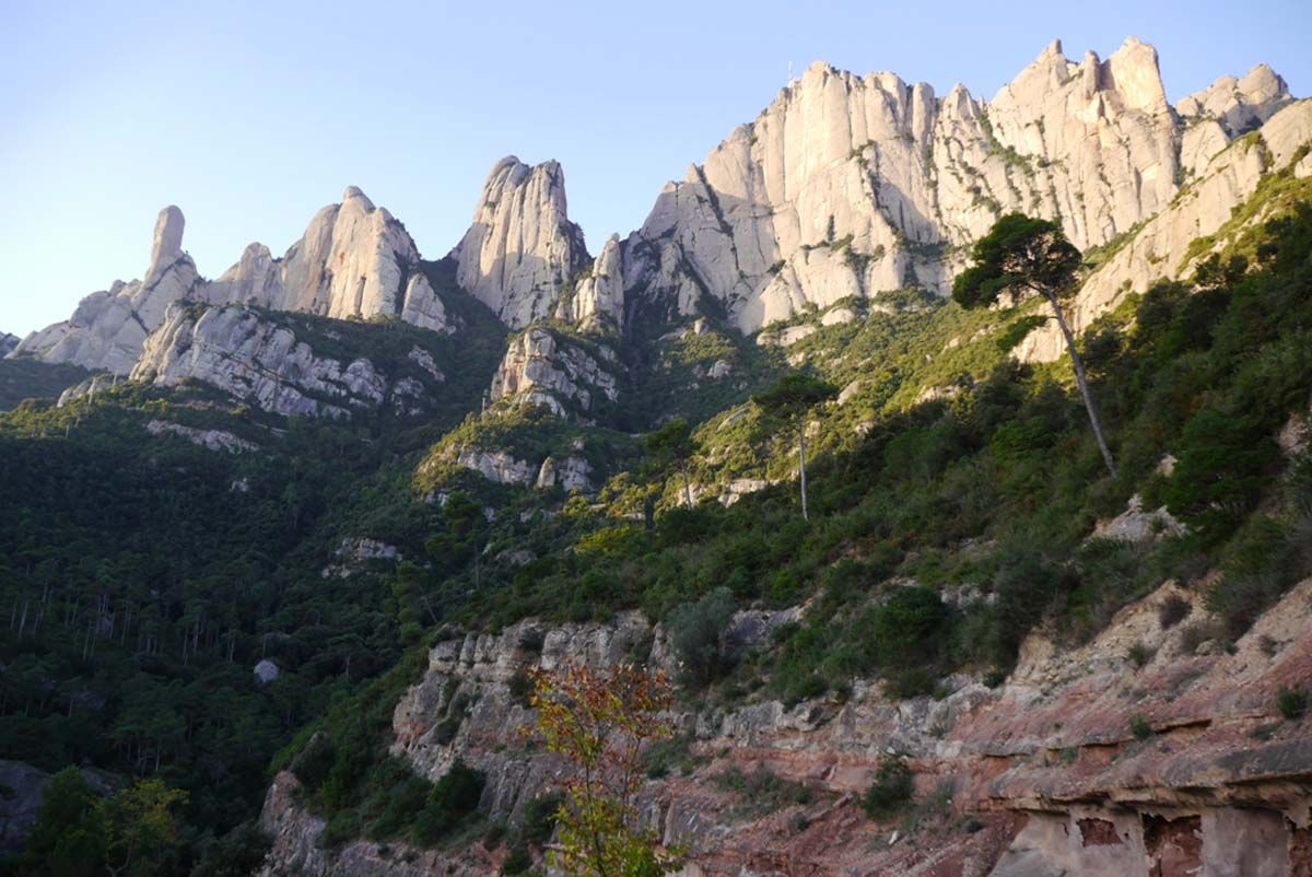 La Montserratina 2014_1