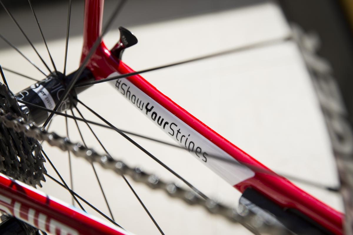 Las bicicletas del Trek Factory Racing