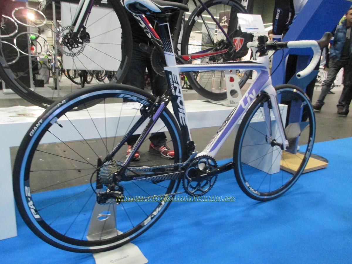 BIBE 2014