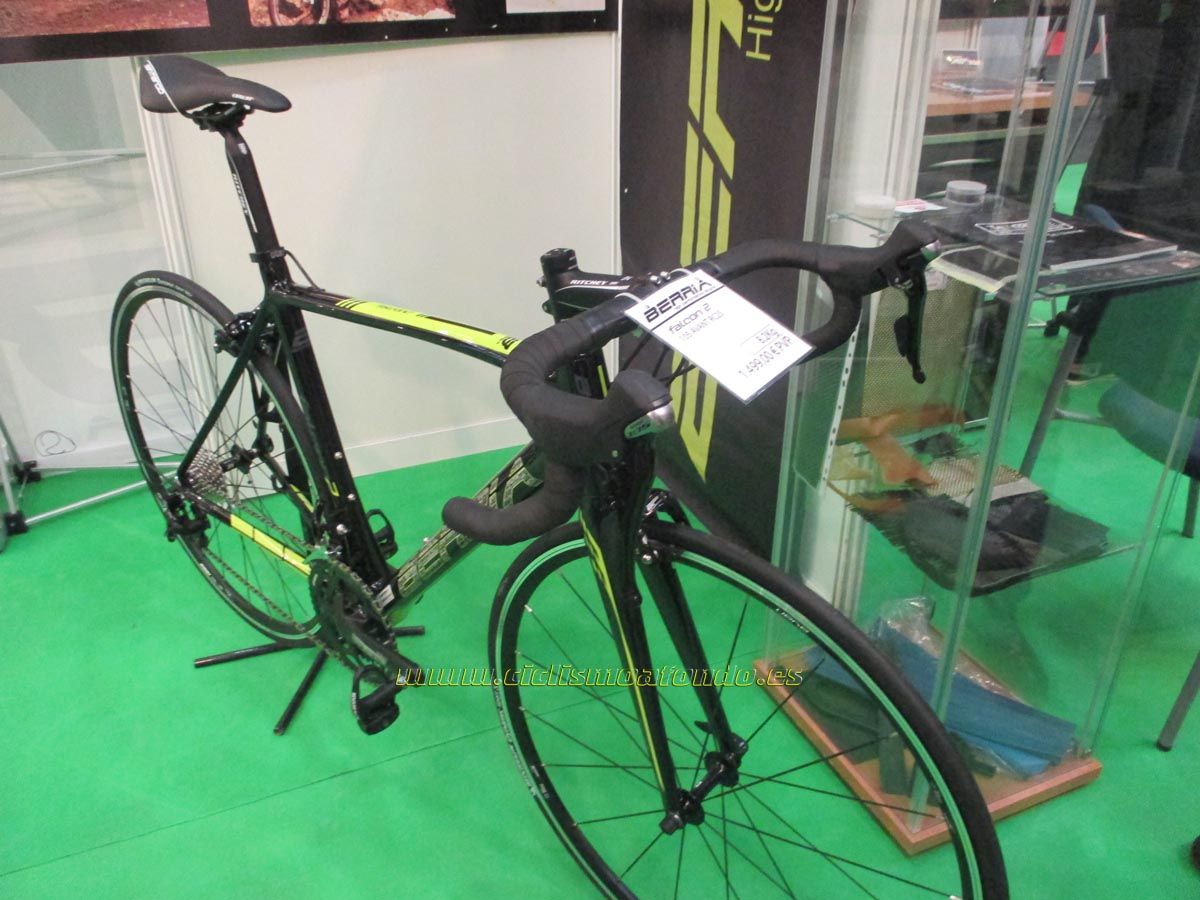 BIBE 2014