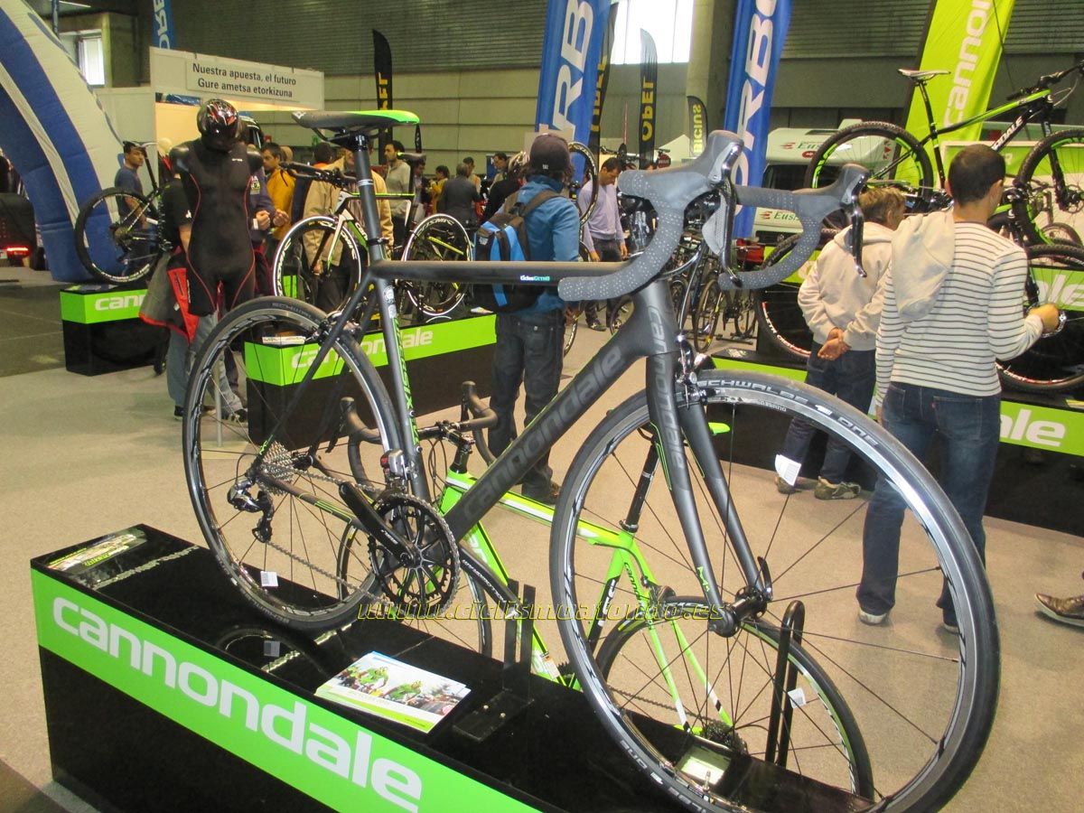 BIBE 2014