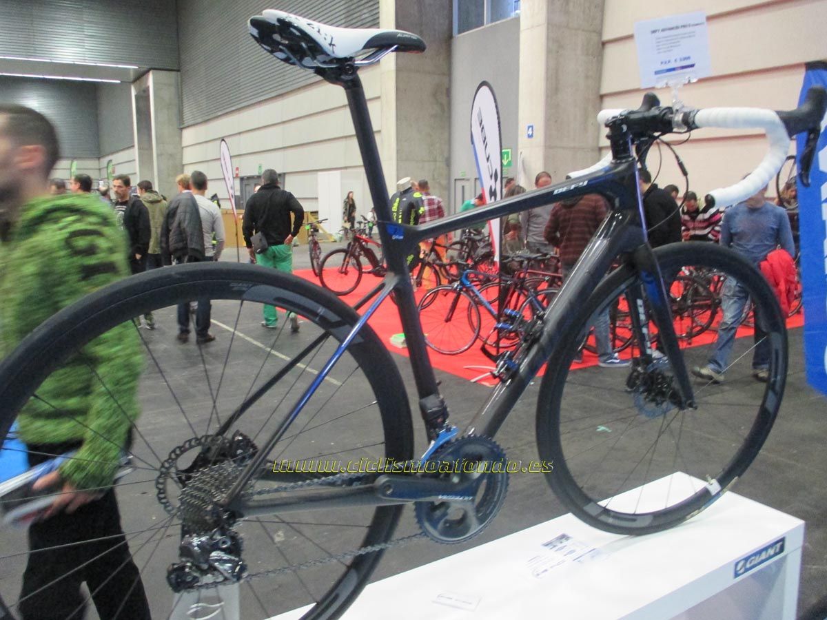 BIBE 2014