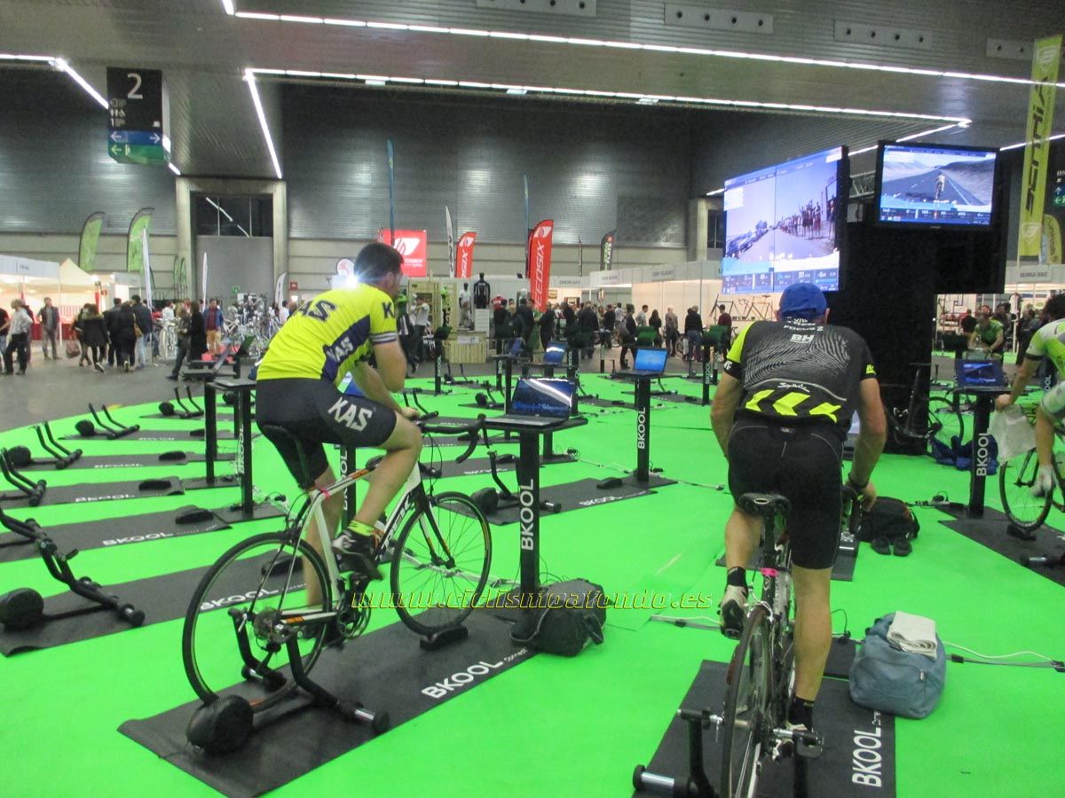 BIBE 2014