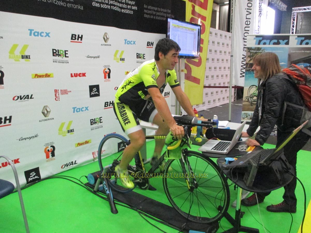 BIBE 2014