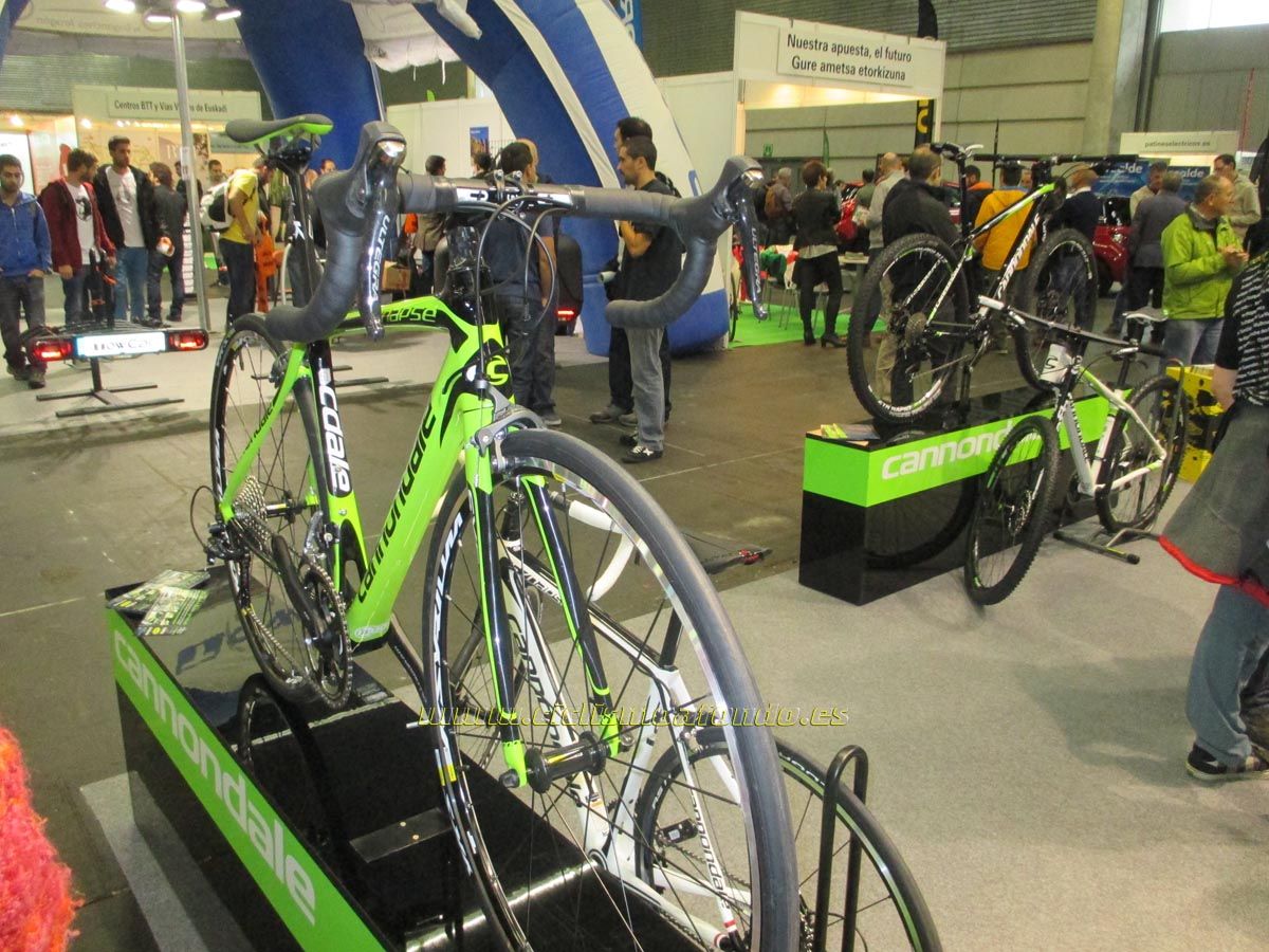 BIBE 2014
