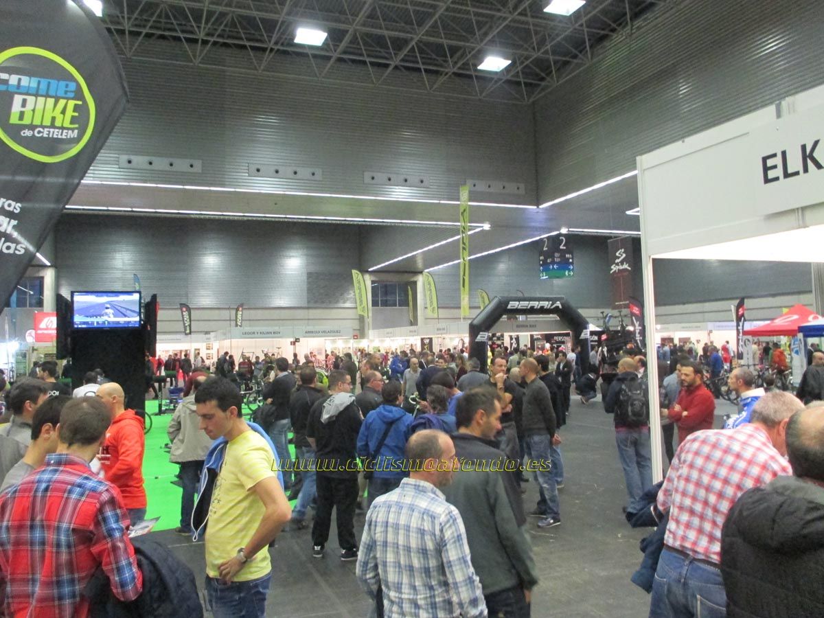 BIBE 2014