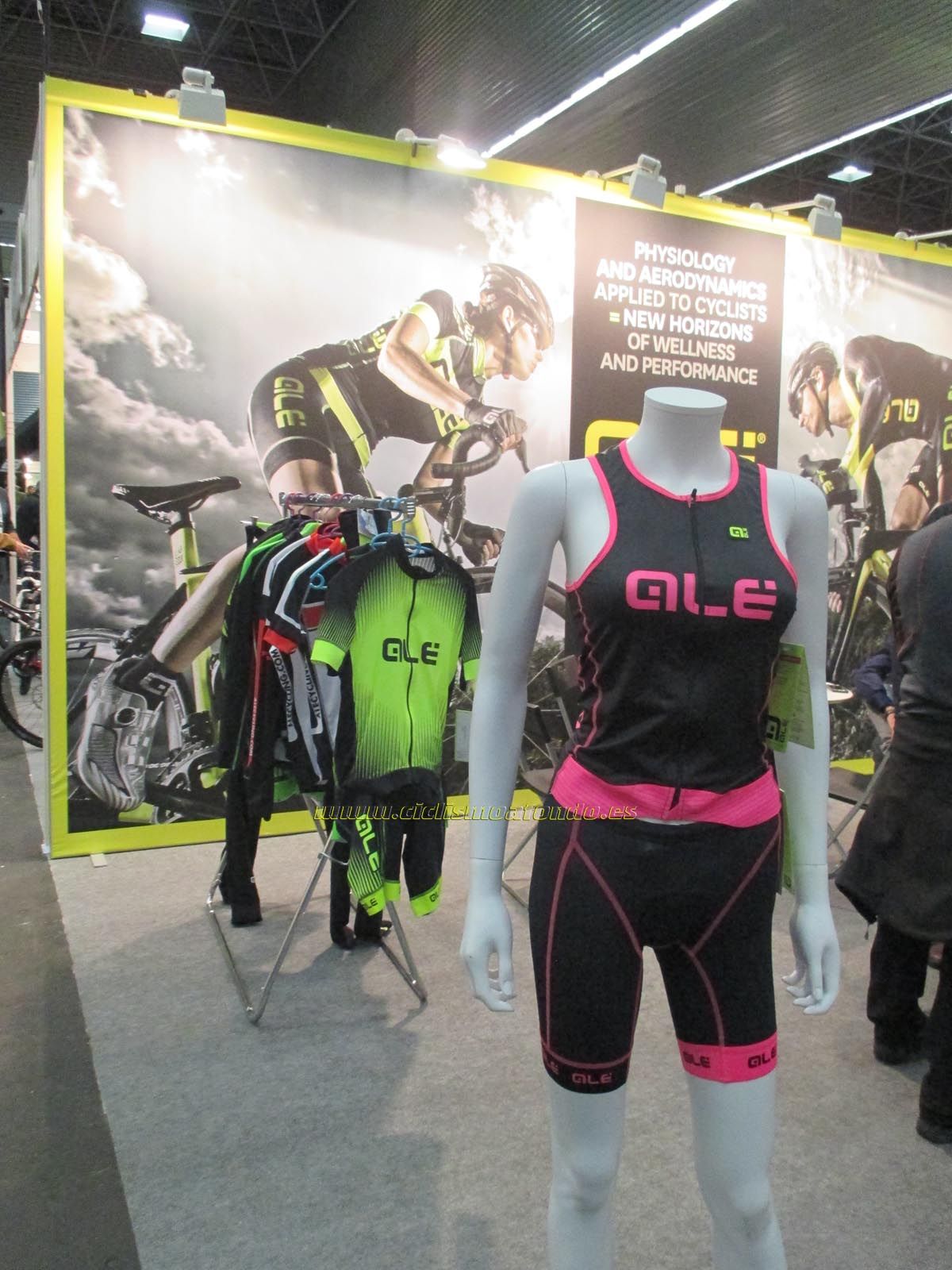 BIBE 2014