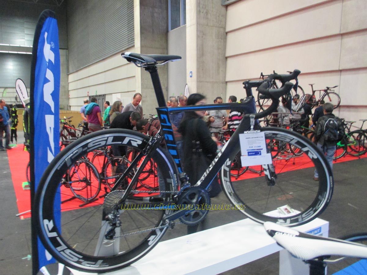 BIBE 2014