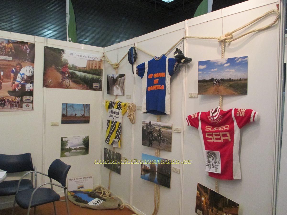 BIBE 2014