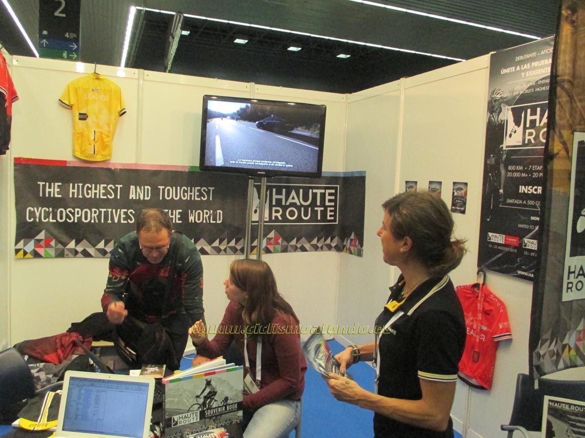 BIBE 2014