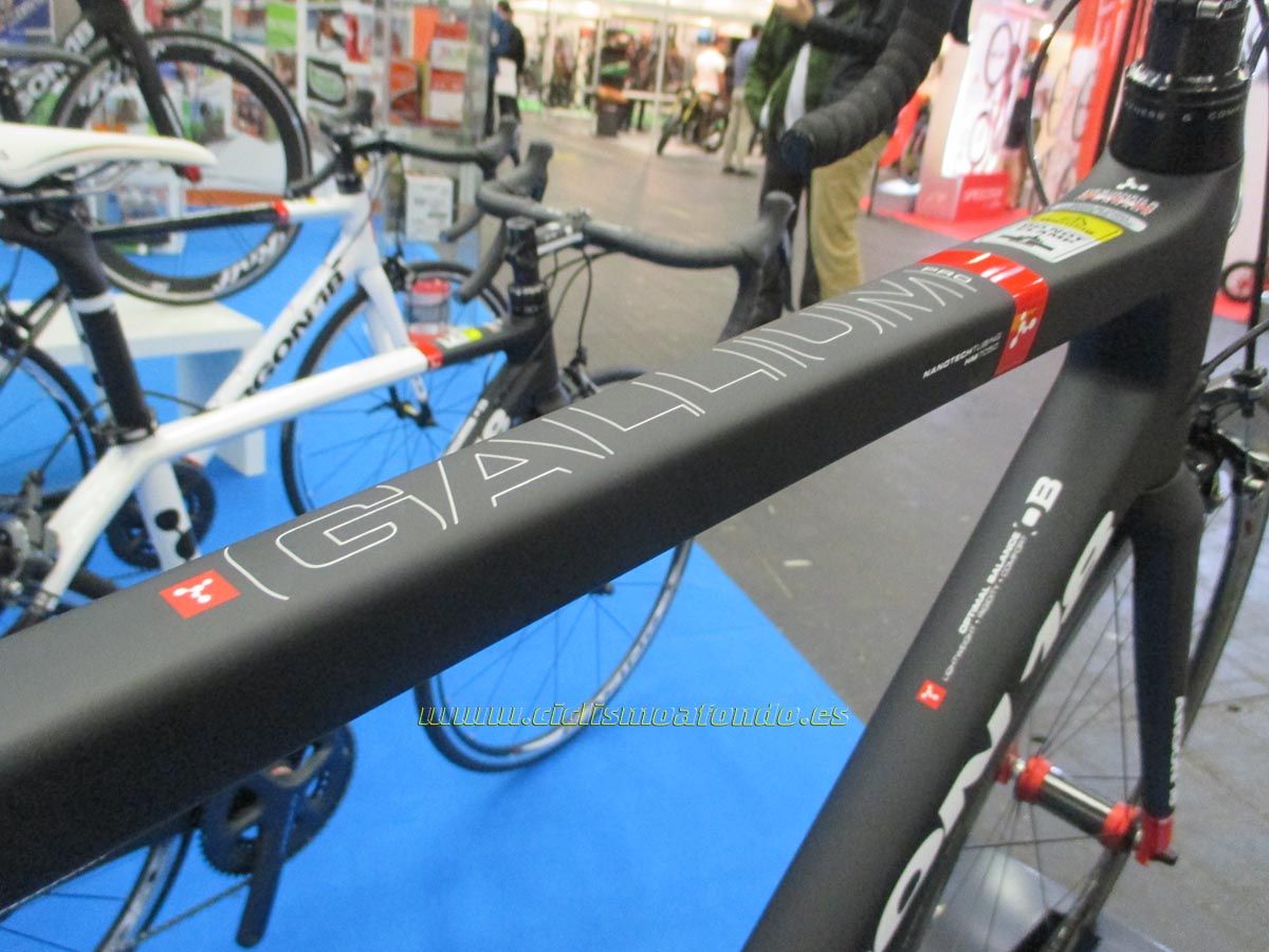 BIBE 2014