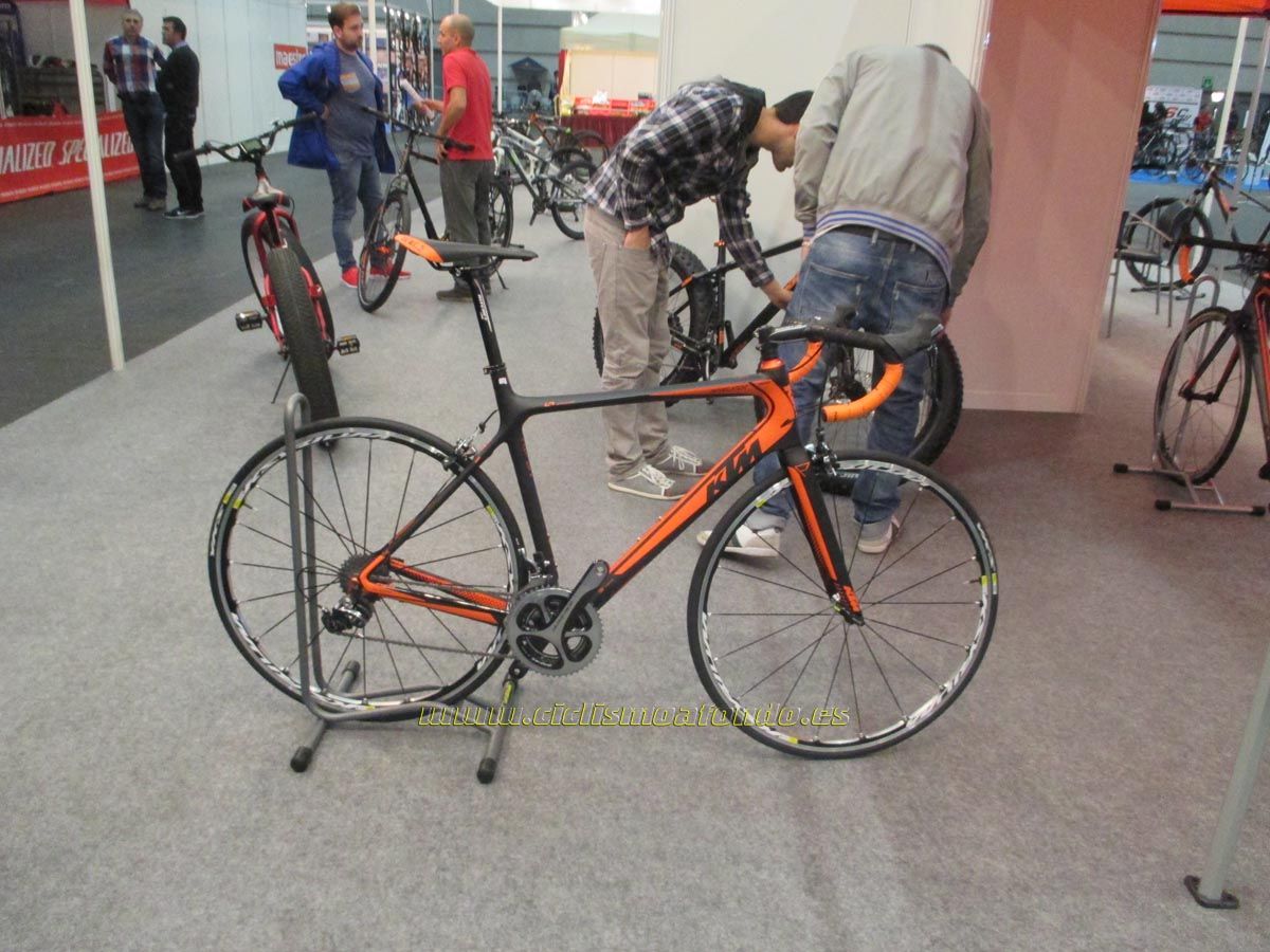 BIBE 2014