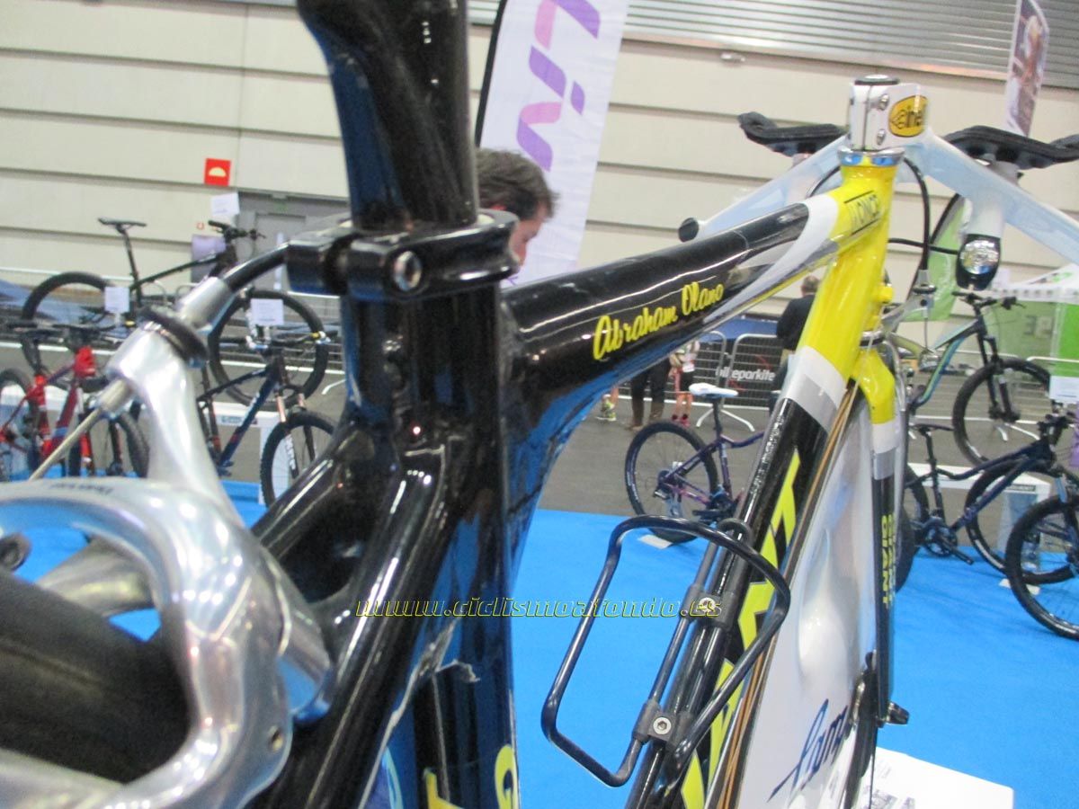 BIBE 2014