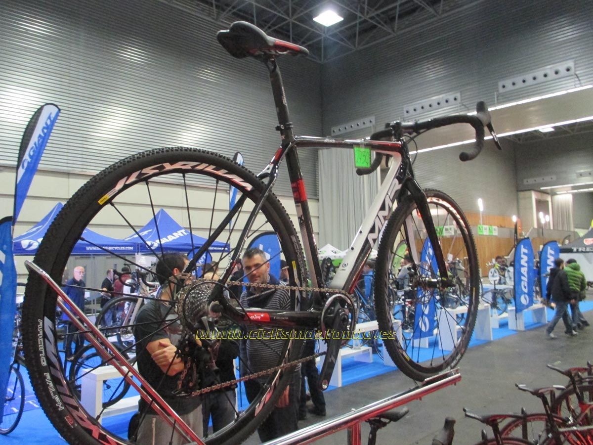 BIBE 2014