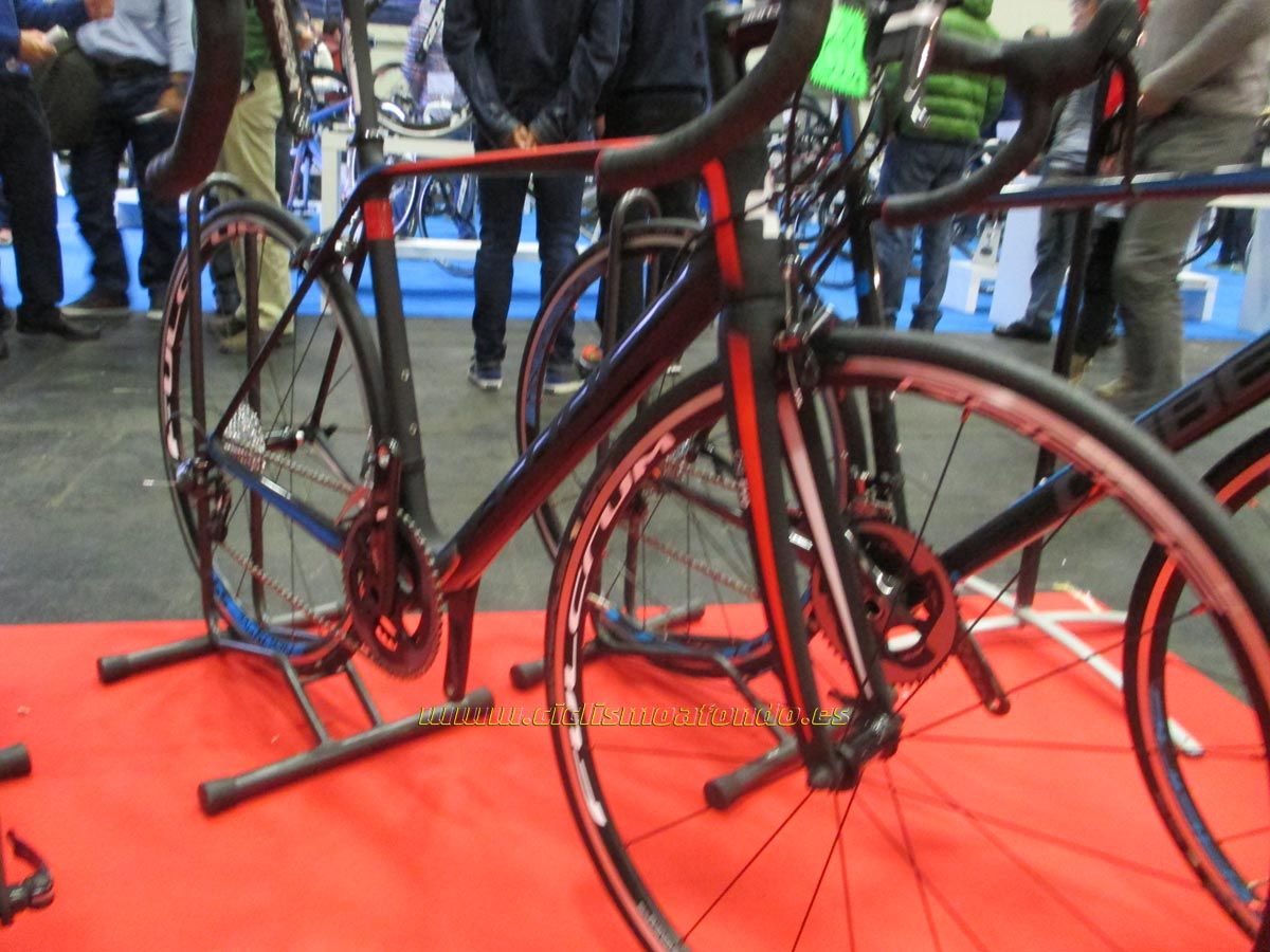 BIBE 2014