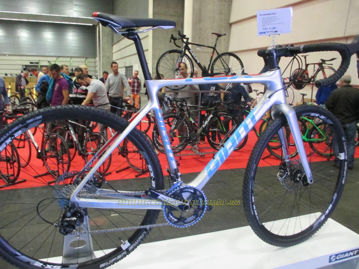 BIBE 2014
