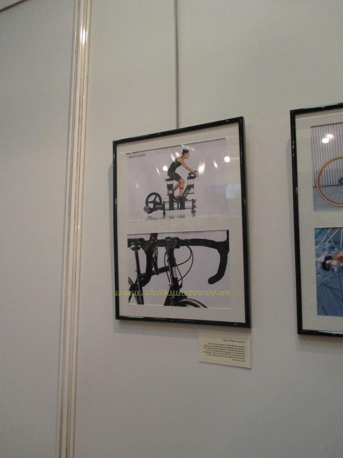 BIBE 2014