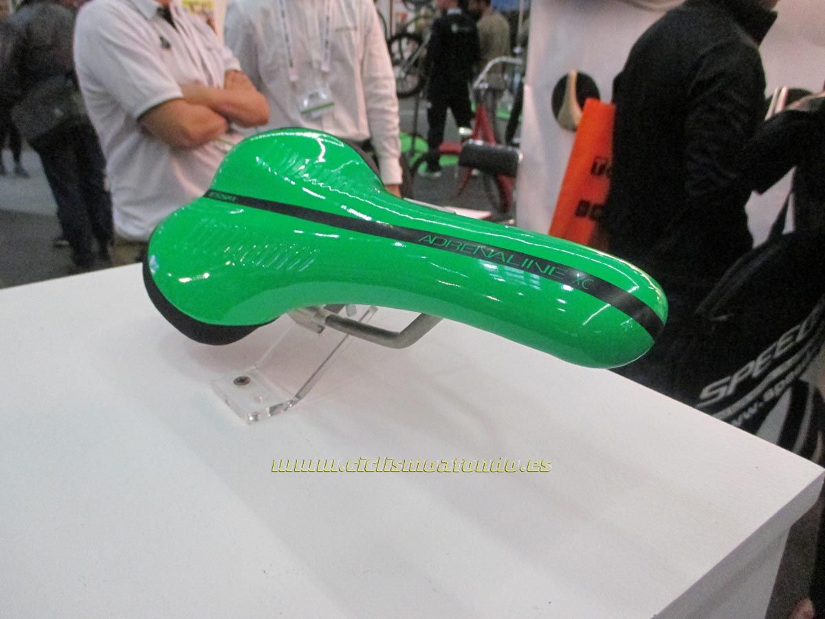 BIBE 2014