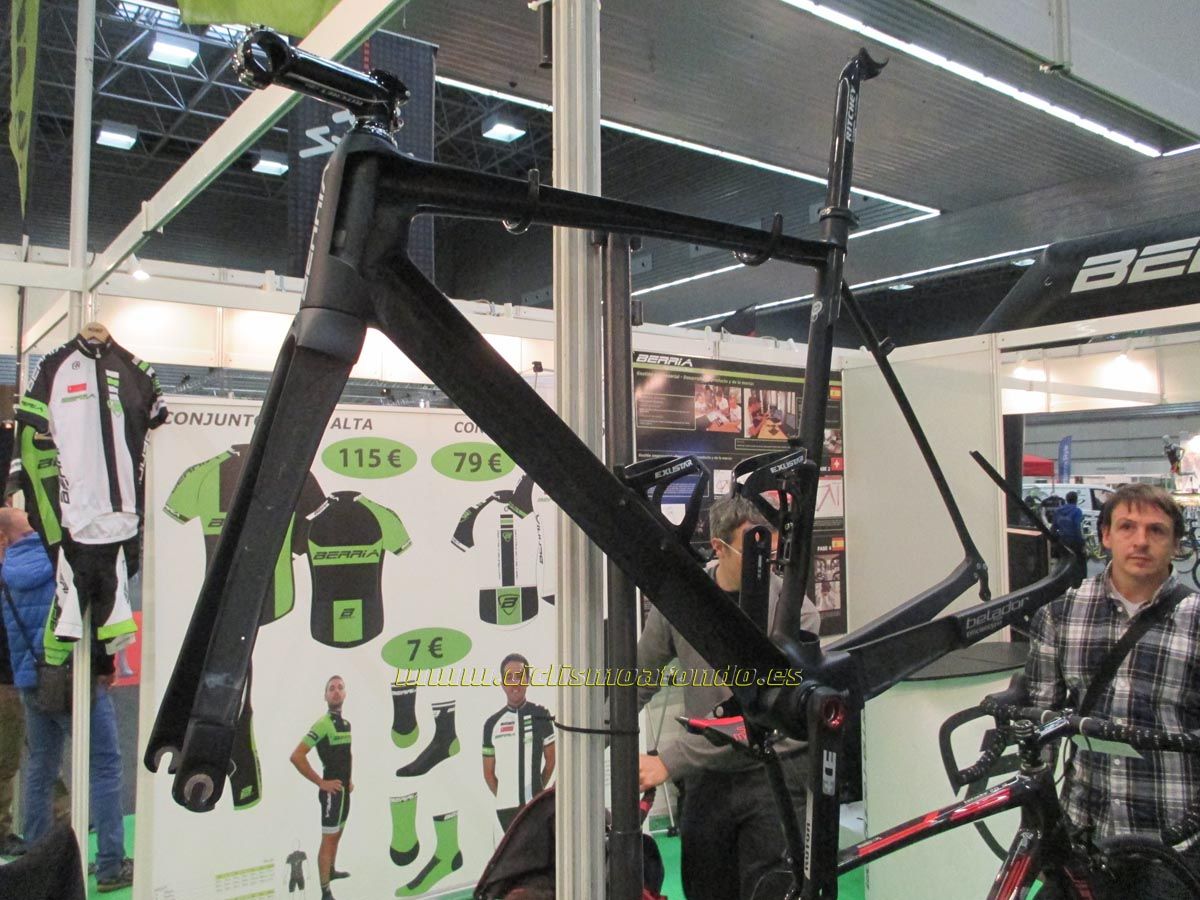 BIBE 2014