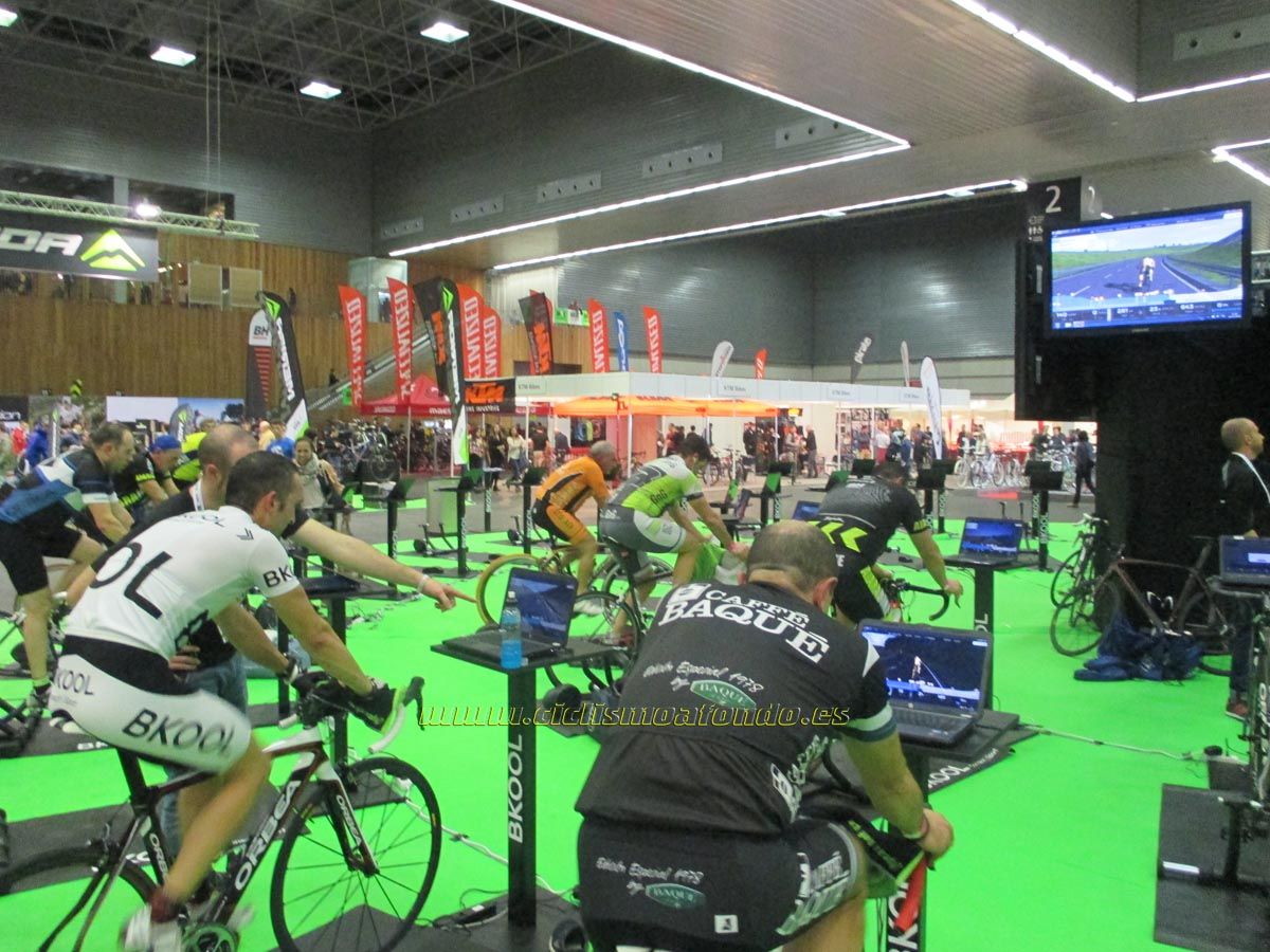 BIBE 2014