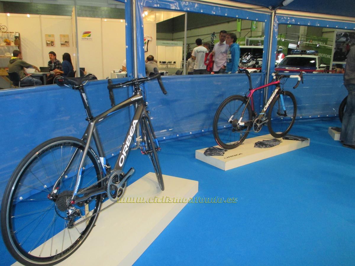 BIBE 2014