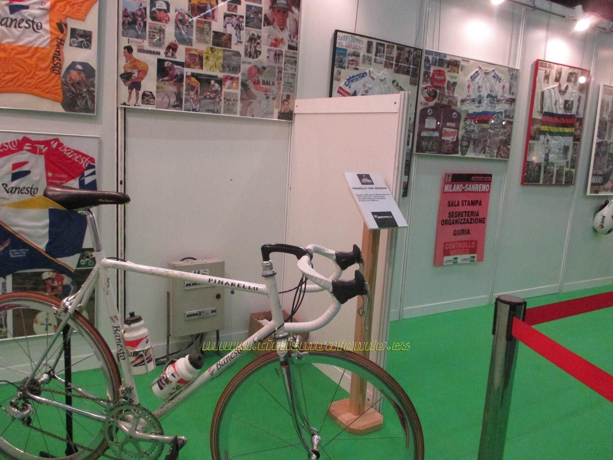 BIBE 2014